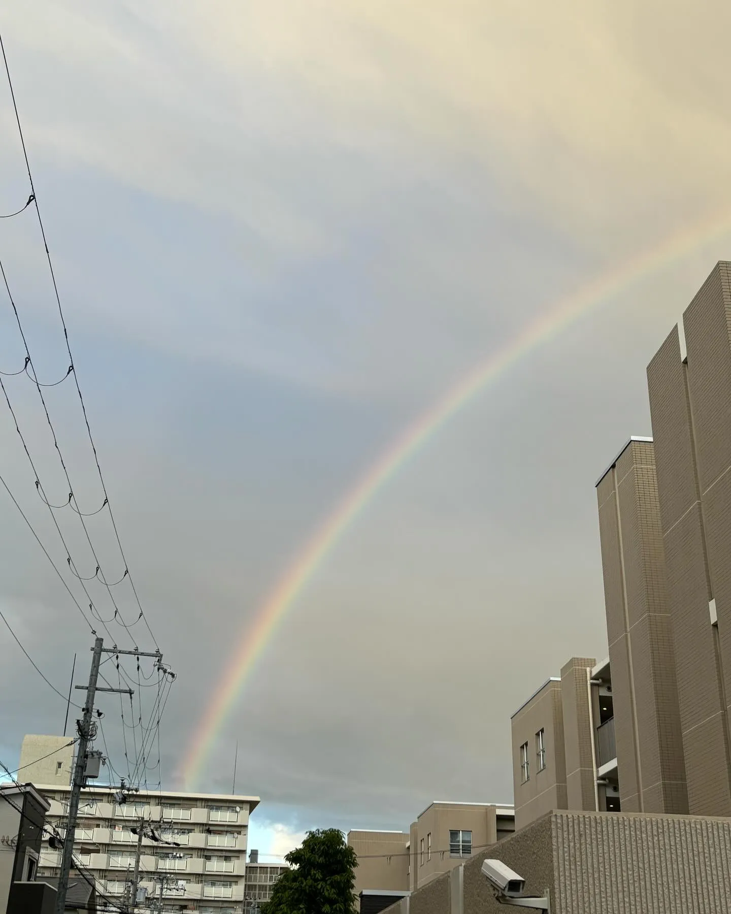 雨上がりに虹が出ました！！10年以上ぶりに虹が見れて感動✨