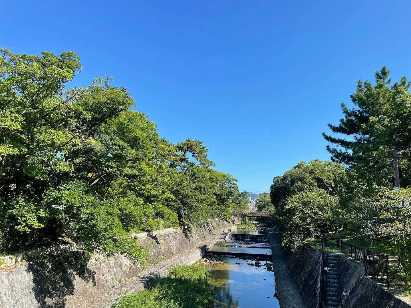 昨日、ふと見ると空に雲がなく驚くほど青かったので写真を撮りま...