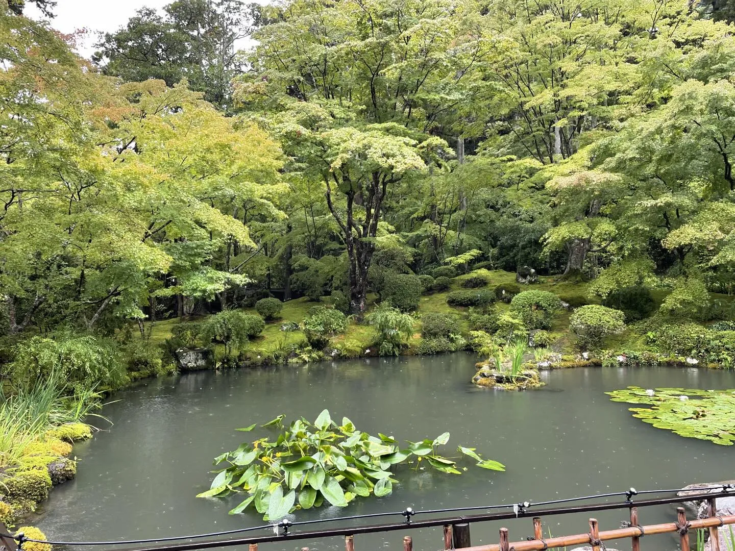 先日、仙台に行って来ました。