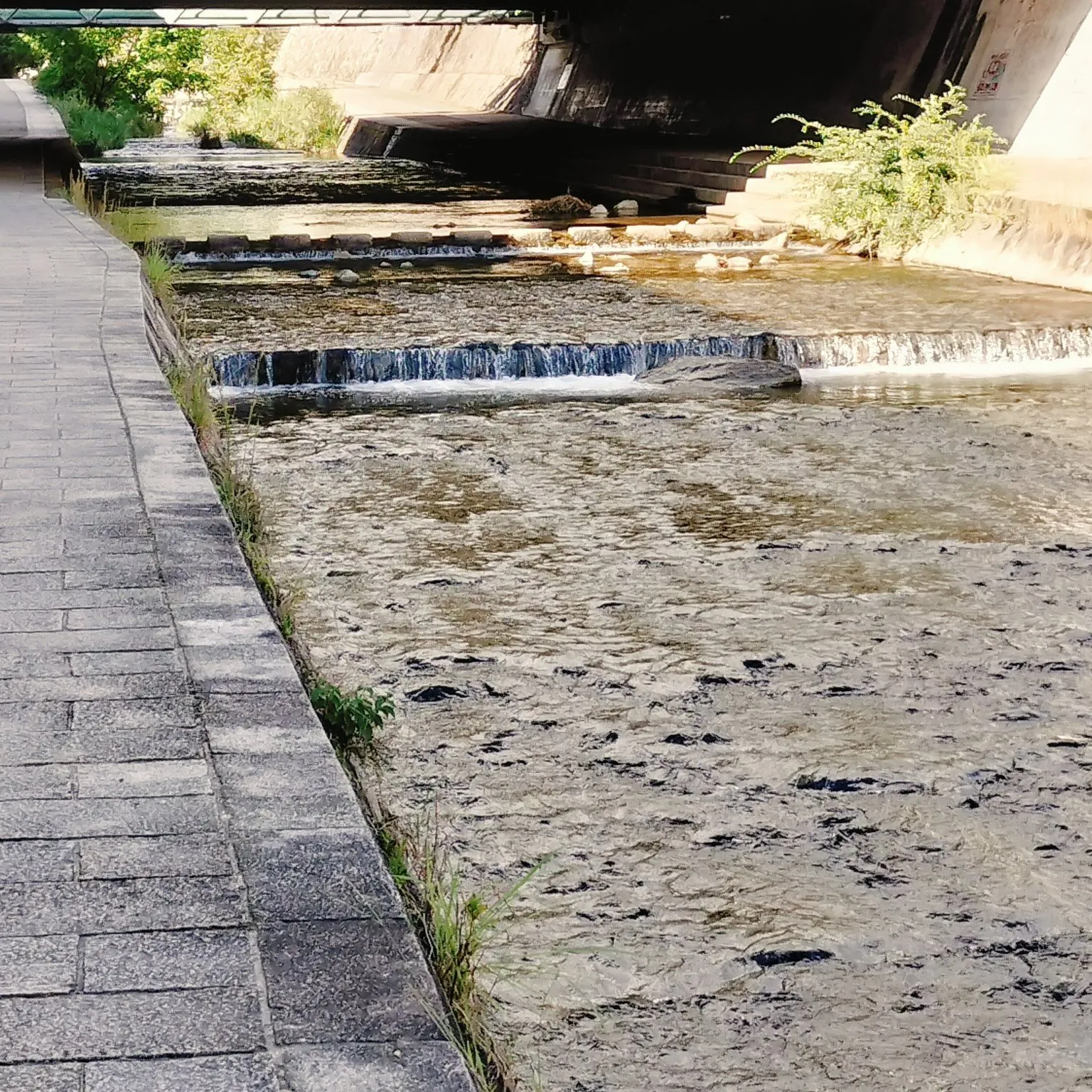 神戸市東灘区に流れる住吉川、すっかり秋の気配です。