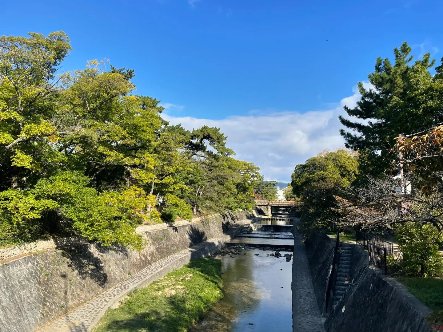 以前、夏に同じ様な構図で写真を投稿しました。