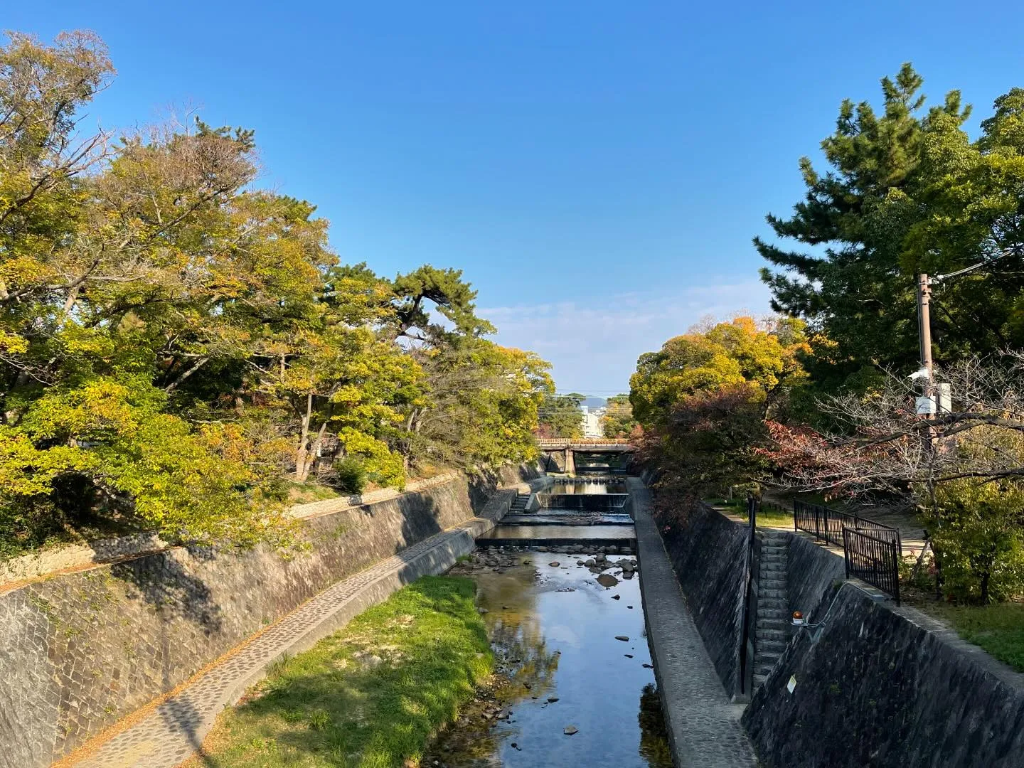 本日の夙川写真です。