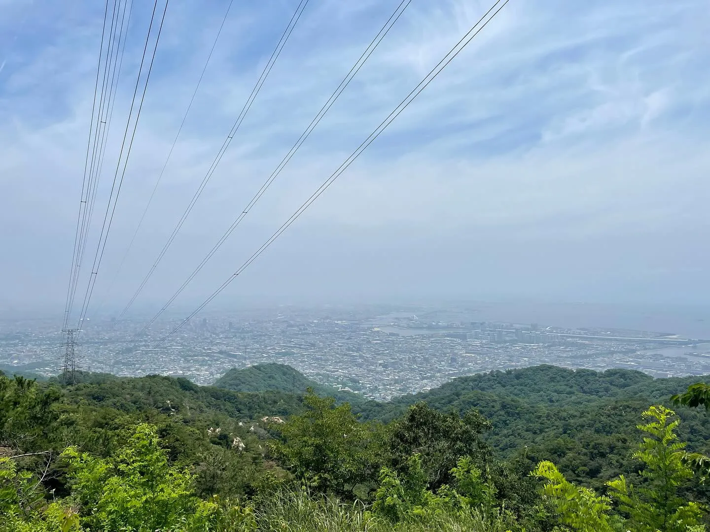 先週末に六甲山に登りました。