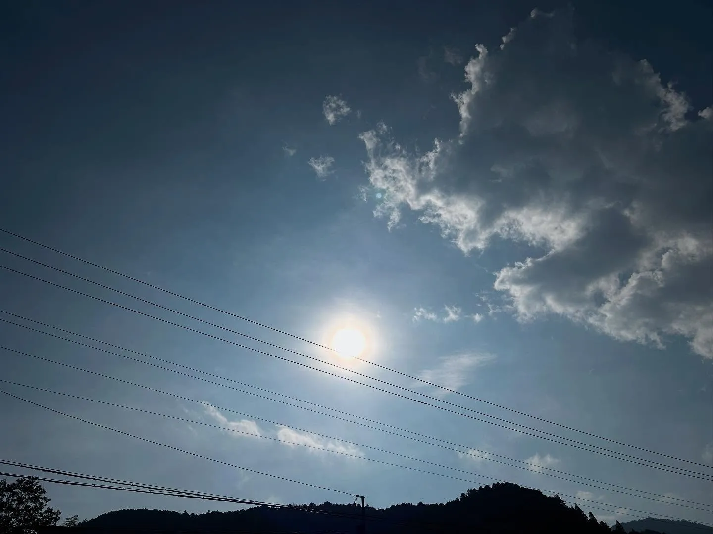 今年もやってきました、ファスティングキャンプ。