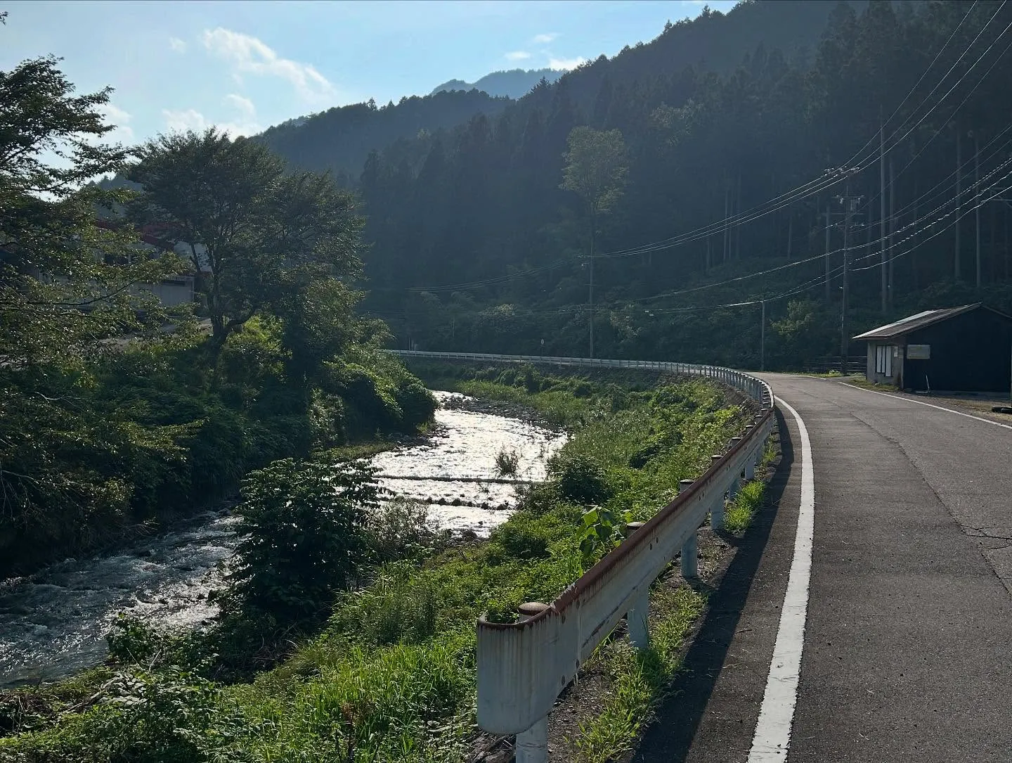 今年もやってきました、ファスティングキャンプ。