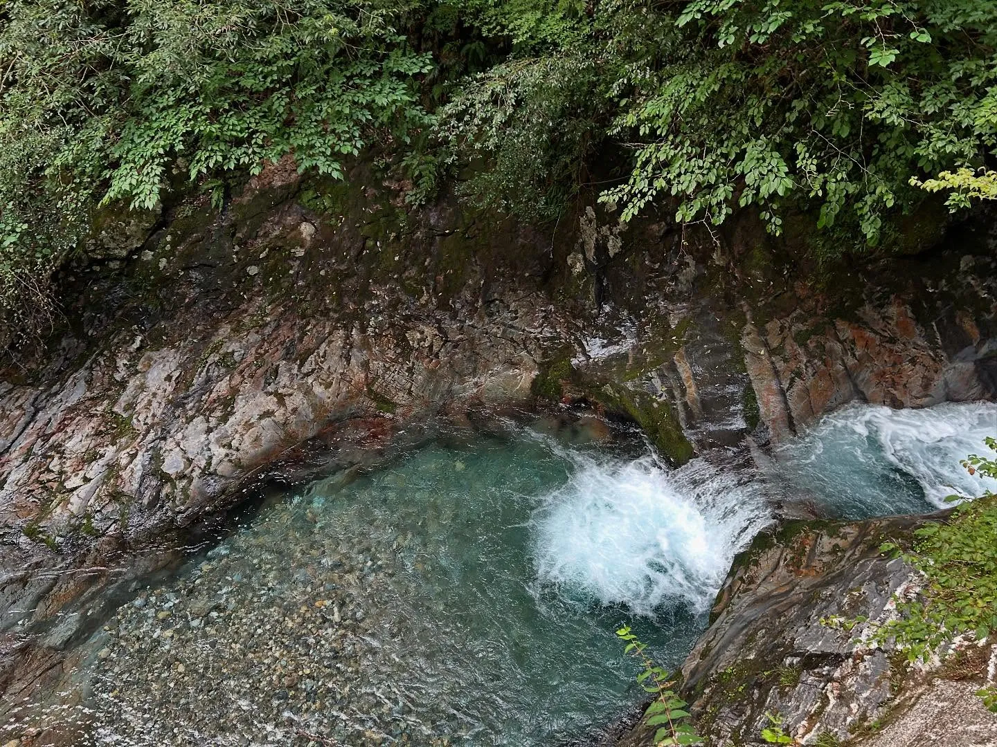 ファスティングキャンプ4日目。