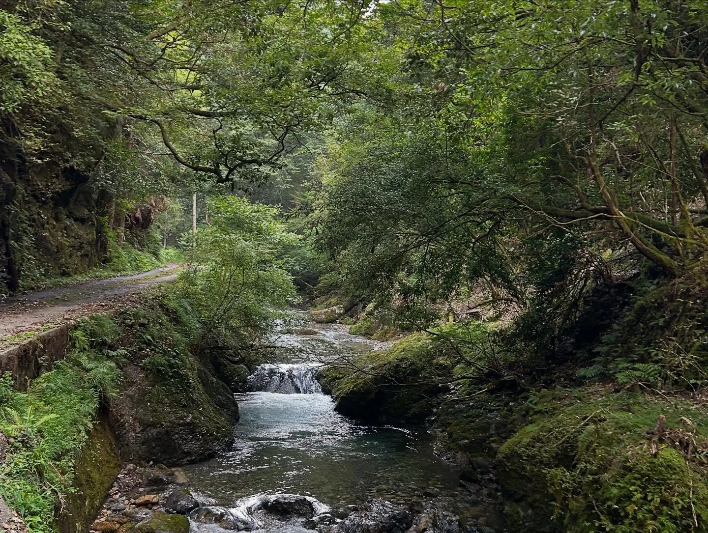 ファスティングキャンプ4日目。