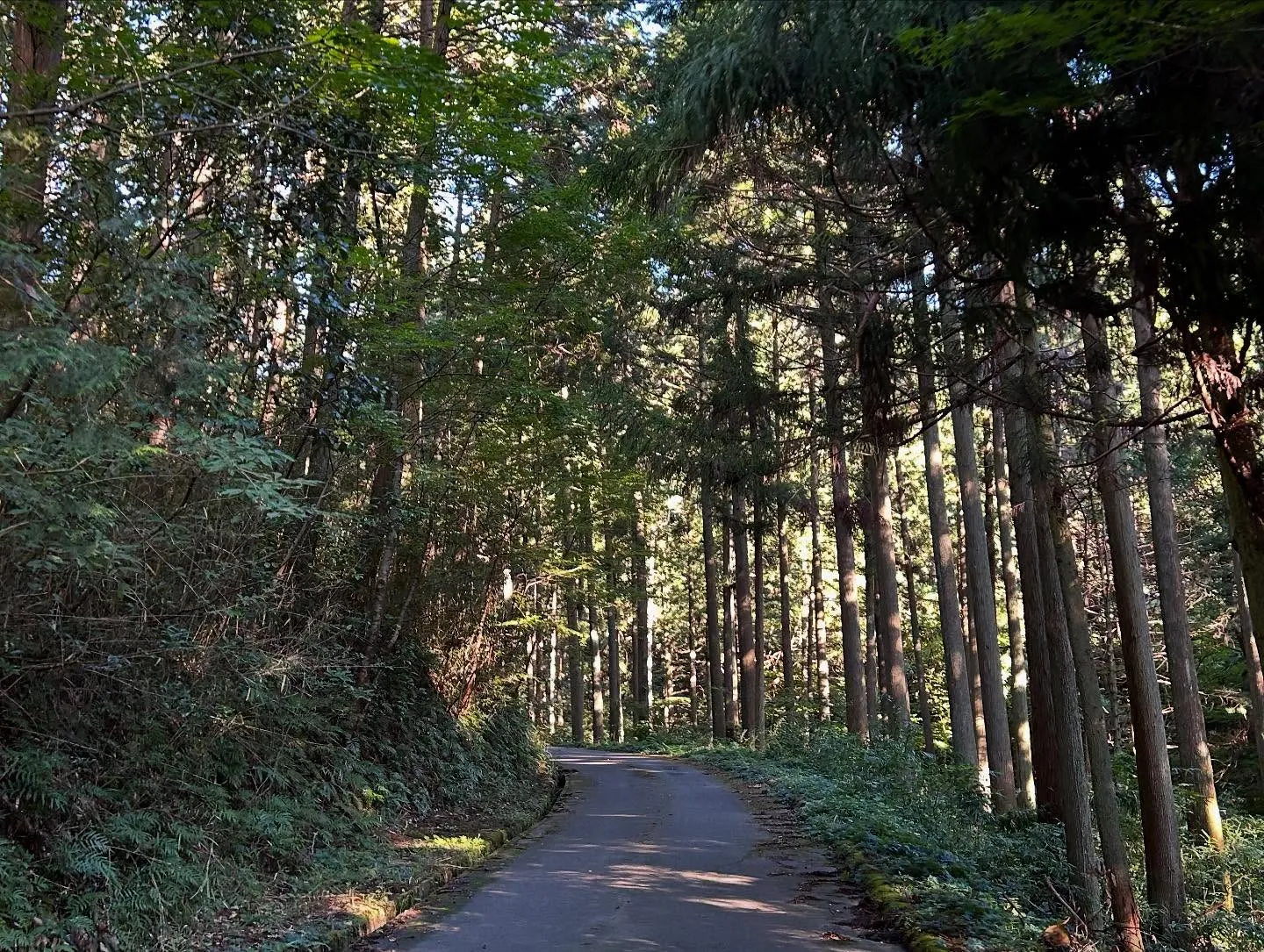 ファスティングキャンプ終了！