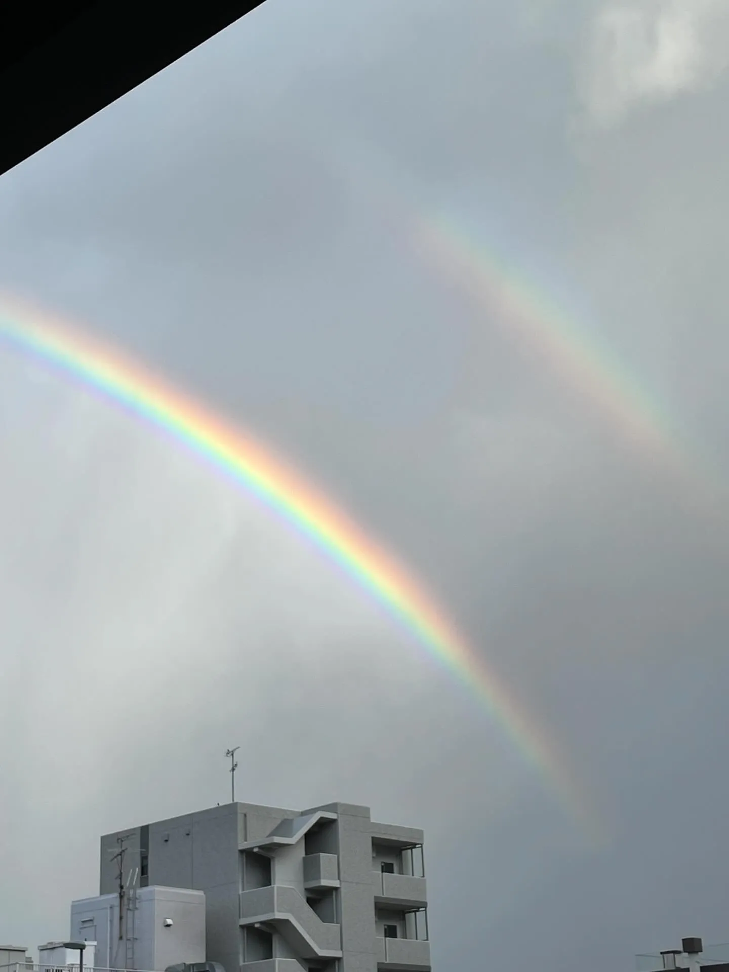 夕方に事務所からふと外を見ると、