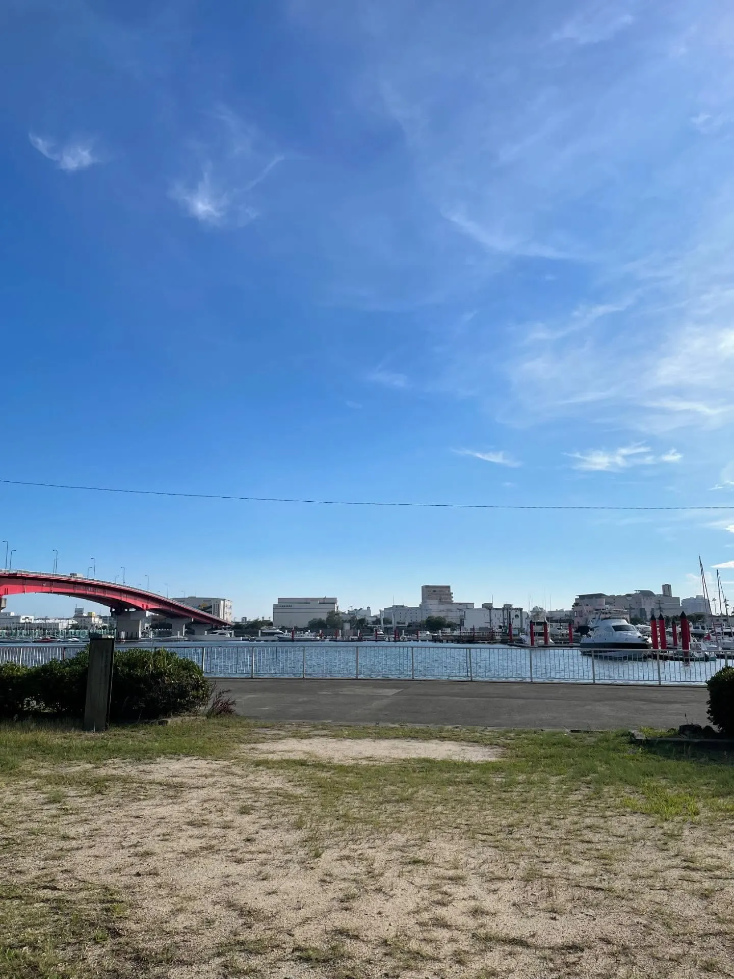 西宮の法務局は海のすぐ側にあるので、建物の裏手に海沿いの景色...