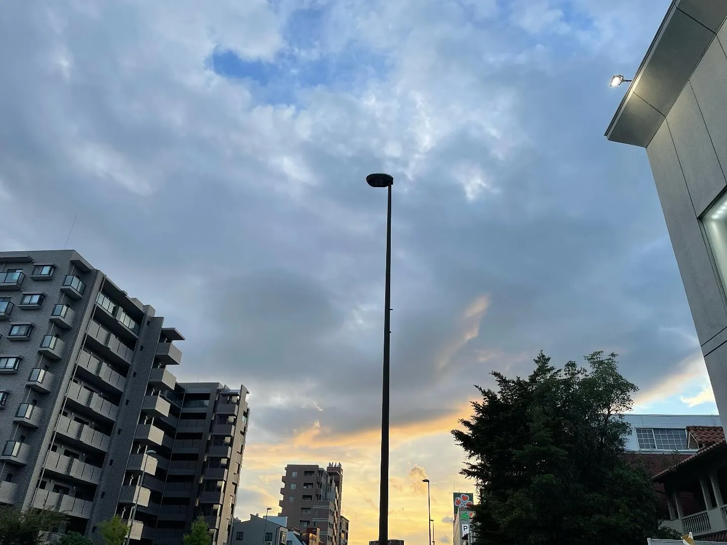 最近、陽が落ちるのが早くなりましたね。