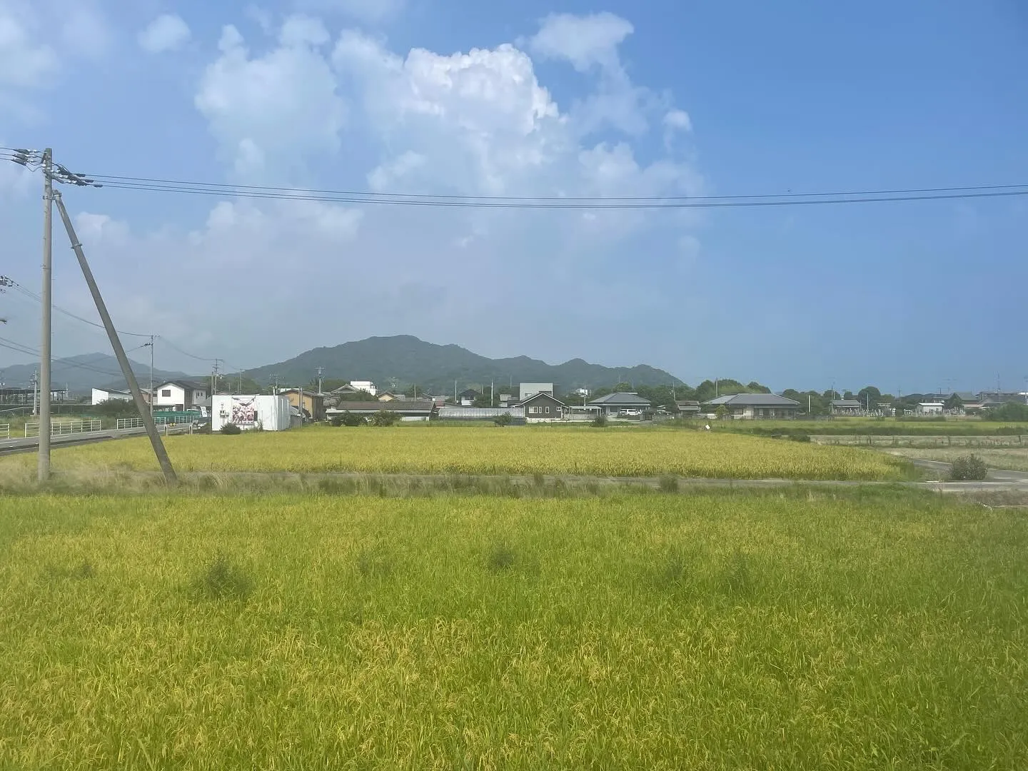 私事ですが地元の香川に19年、大阪と神戸にも18年ほど住んで...