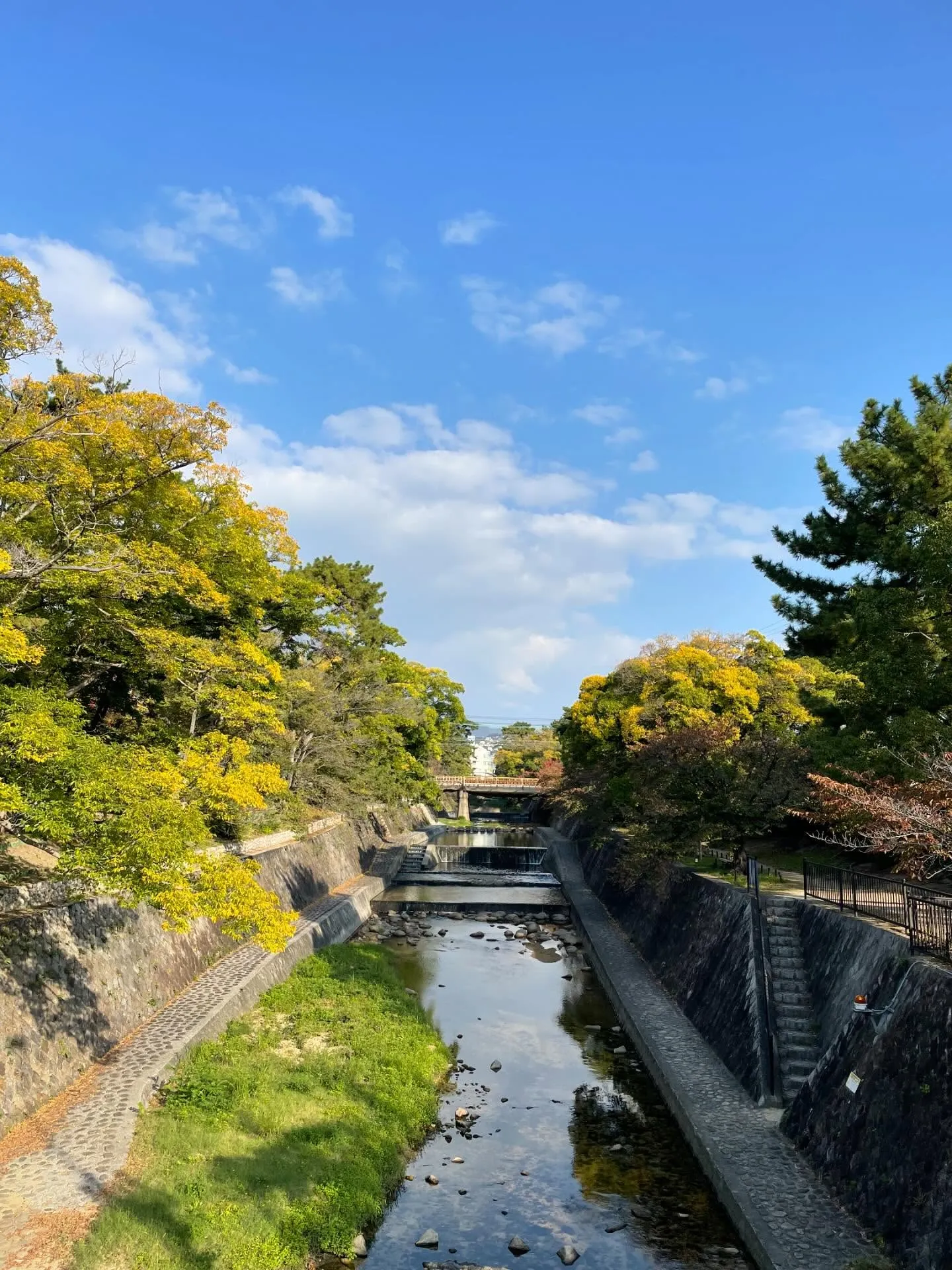 気温も下がってきて、秋のような初冬のような天気が続きますね。