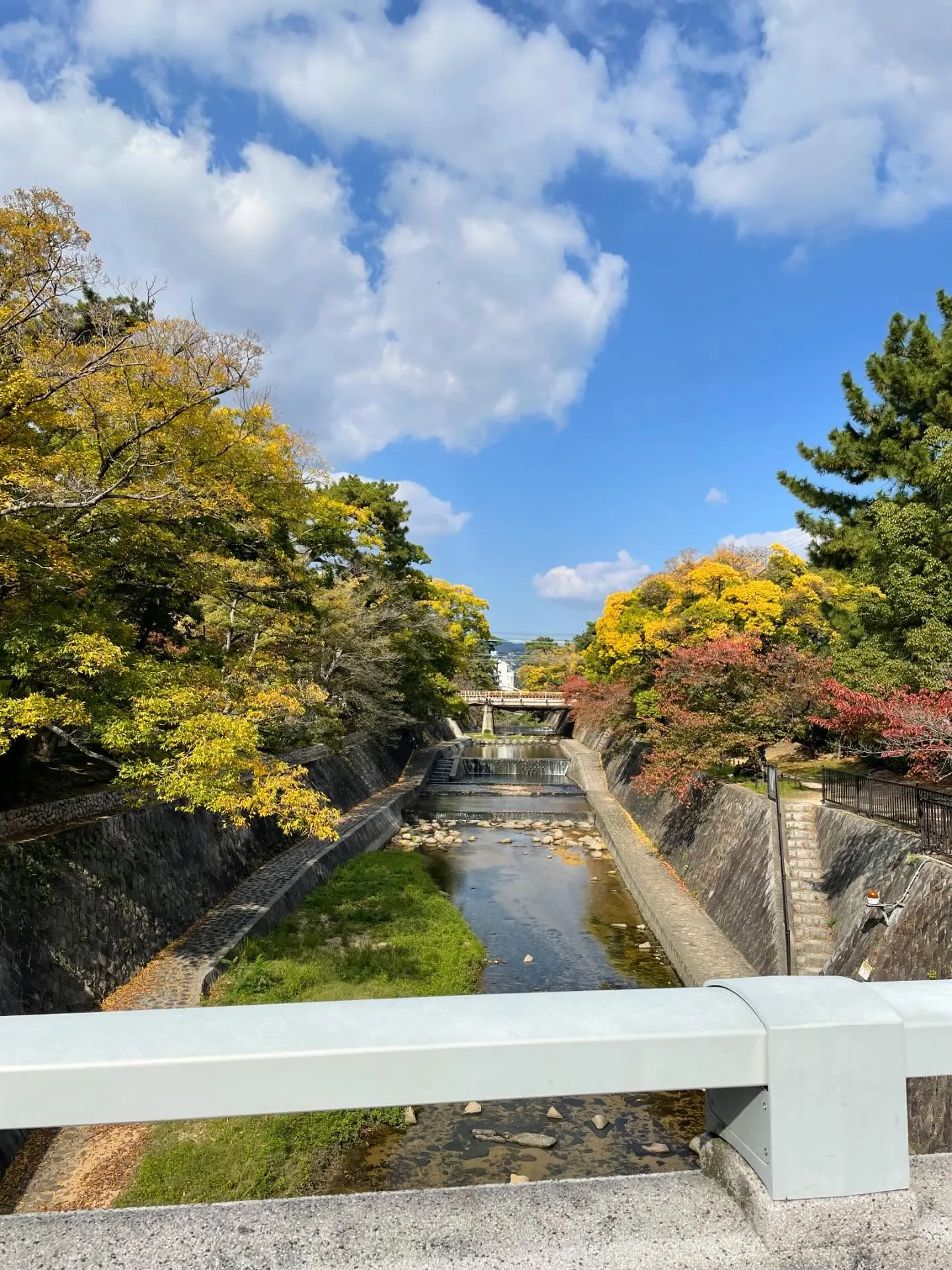 ここ1ヶ月、本当に月日の流れが早くて驚いていましたが、業務の...