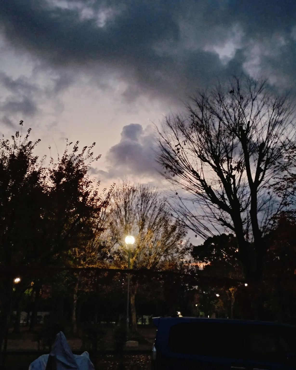 昨日は日帰りで父に会いに、飛行機で行ってきました。