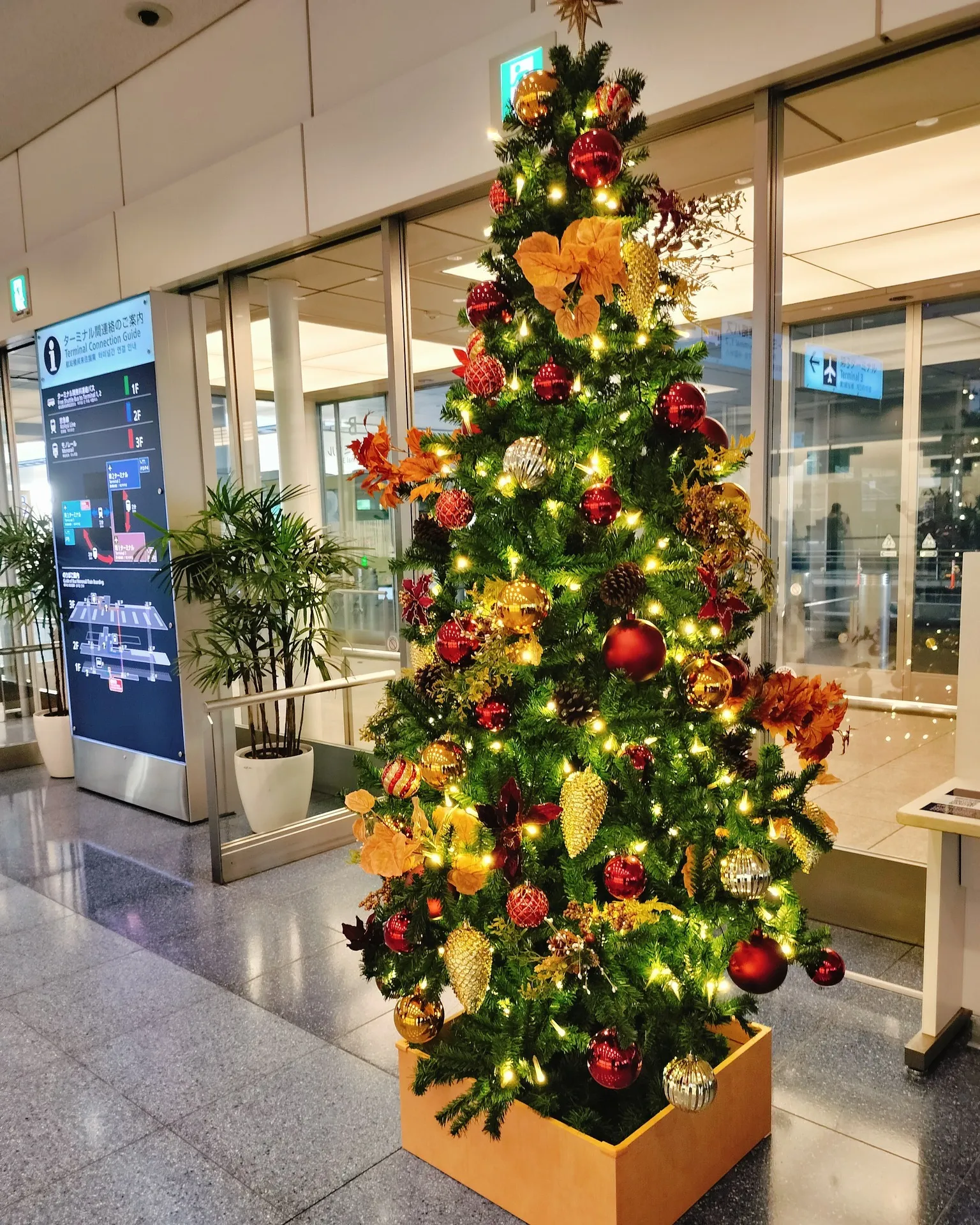 昨日は日帰りで父に会いに、飛行機で行ってきました。