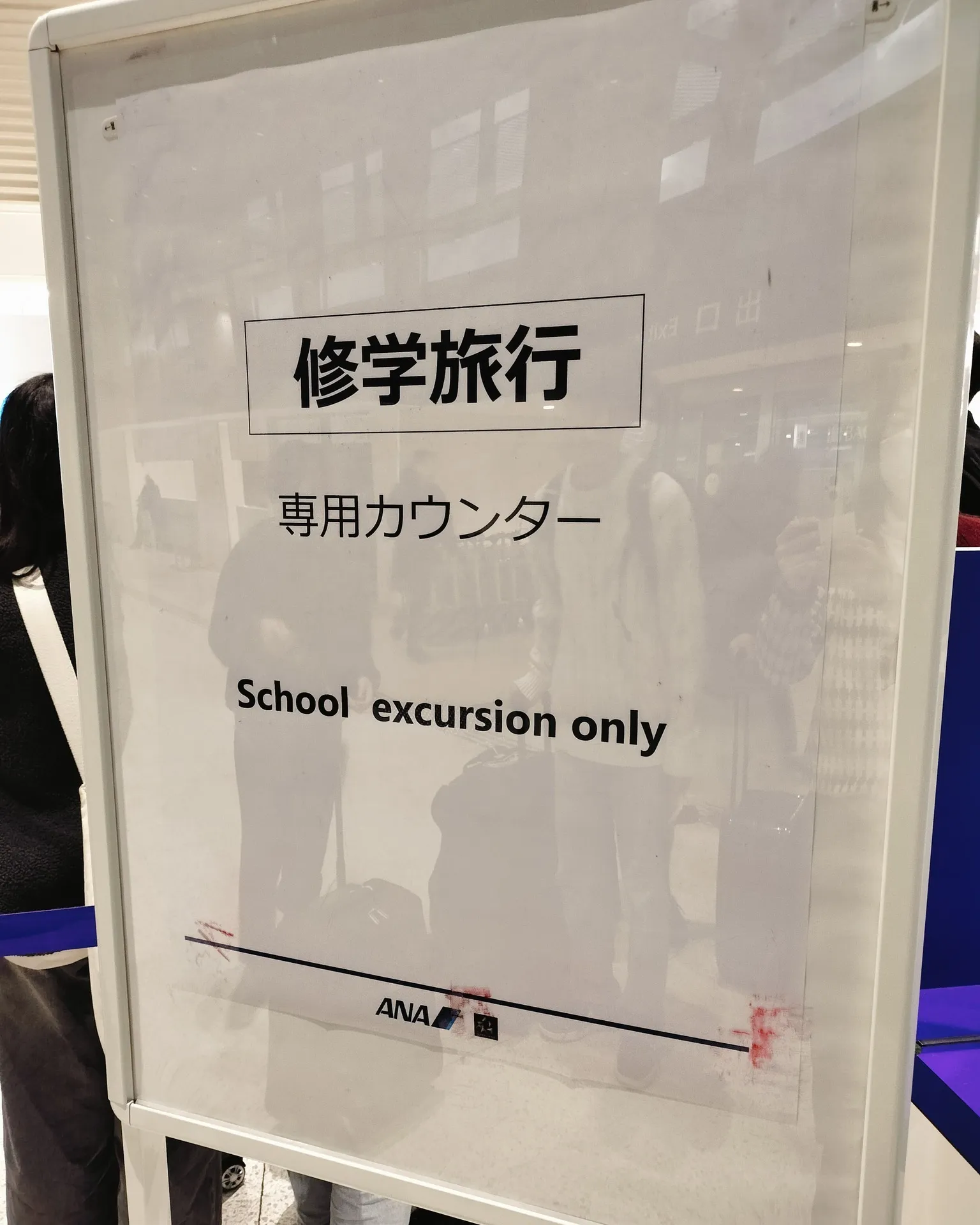 昨日は日帰りで父に会いに、飛行機で行ってきました。