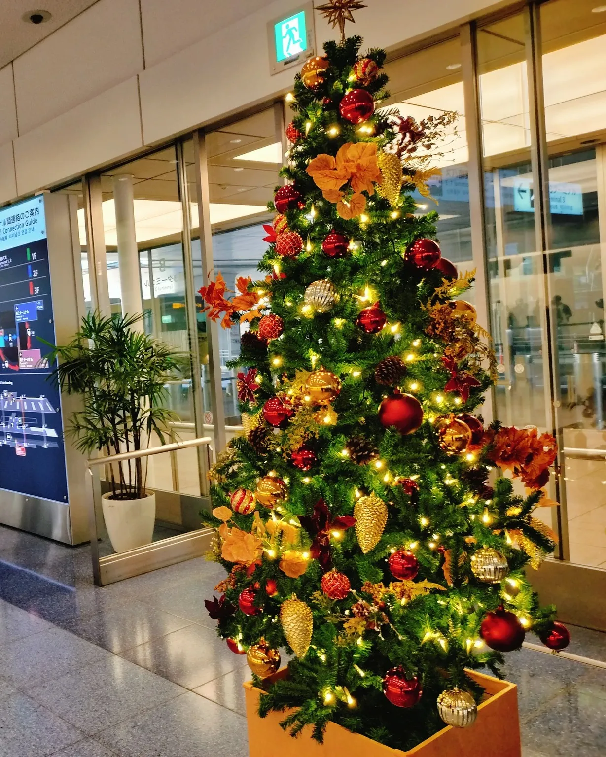昨日は日帰りで父に会いに、飛行機で行ってきました。