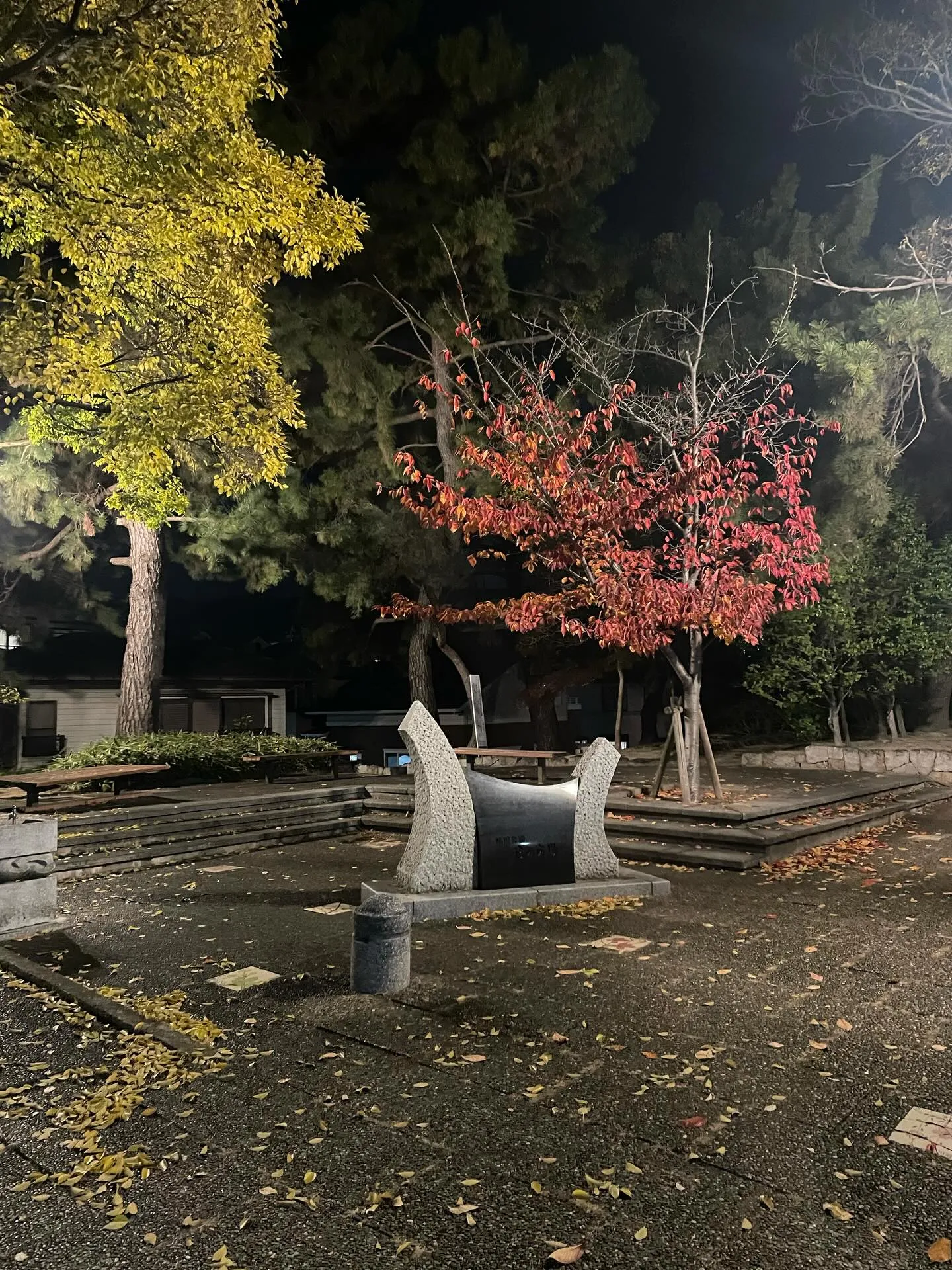 事務所近くで撮った写真がありました。