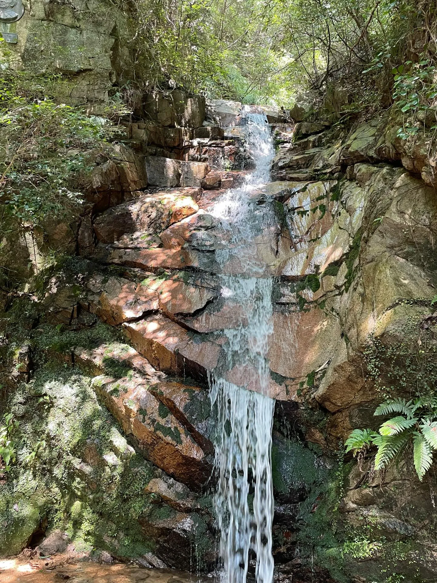 すごく寒くなったので、夏に少し山へ行った時のことを思い出しま...