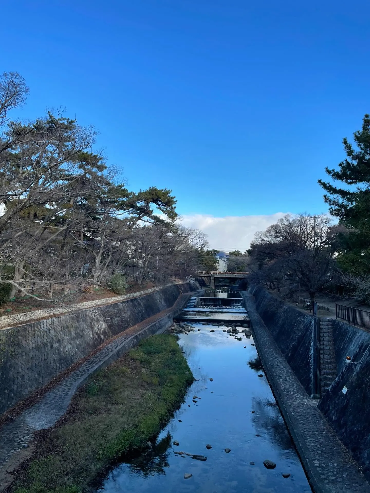 1年があっという間に終わりましたが、