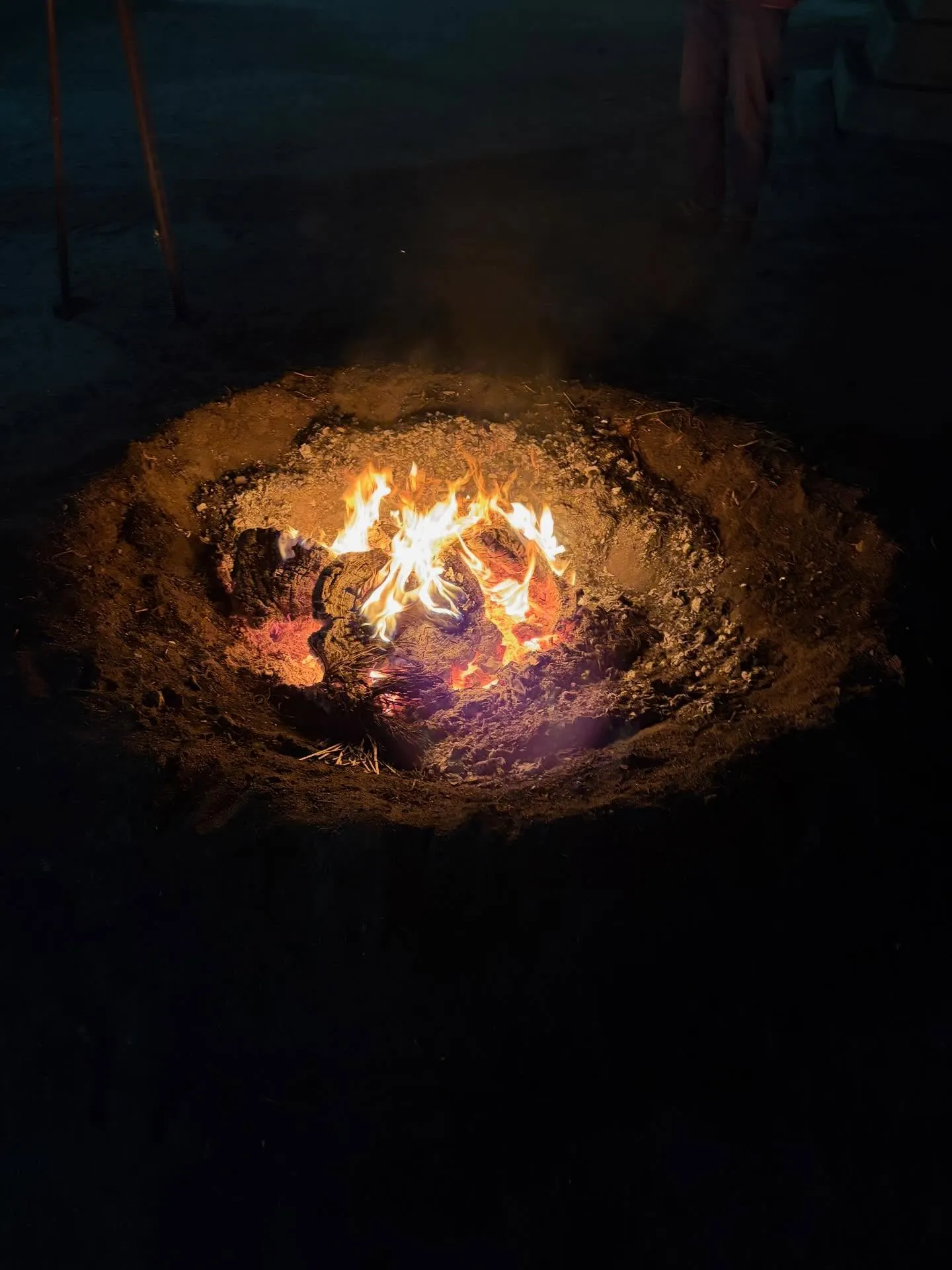 地元の節分祭にはじめて参りました。