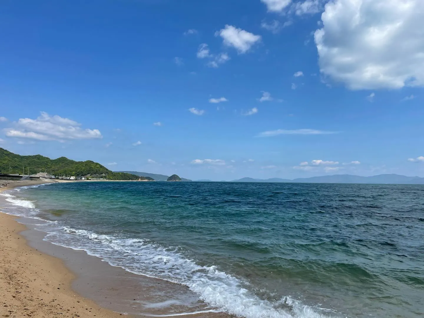 早くも今年が1ヶ月終わりました。